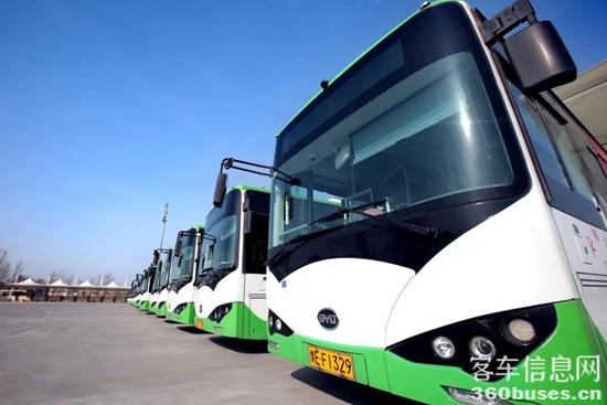 1609898390556575.jpg d1.jpg