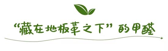 1610070776720319.jpg c4.jpg