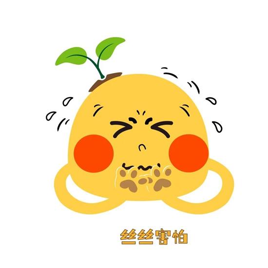 1610070887769103.jpg c8.jpg