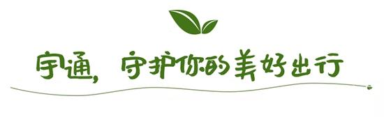 1610071389880604.jpg c14.jpg