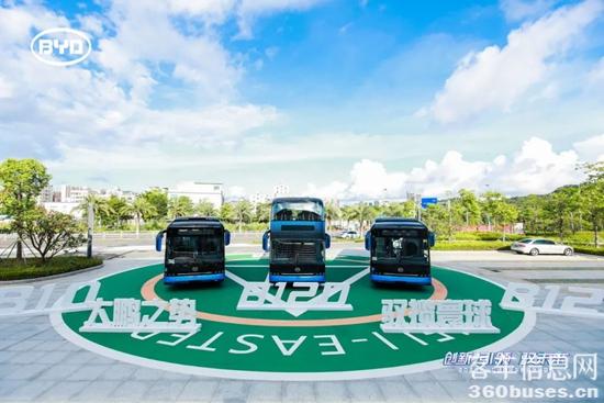 1610500448167562.jpg b4.jpg