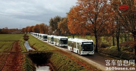 1610500496204507.jpg b7.jpg