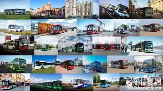 1610500510405318.jpg b9.jpg