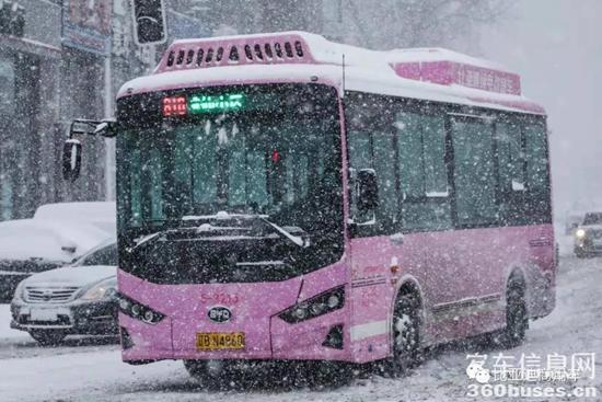 1611199132994960.jpg i5.jpg