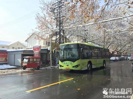 1611199268825148.jpg i12.jpg