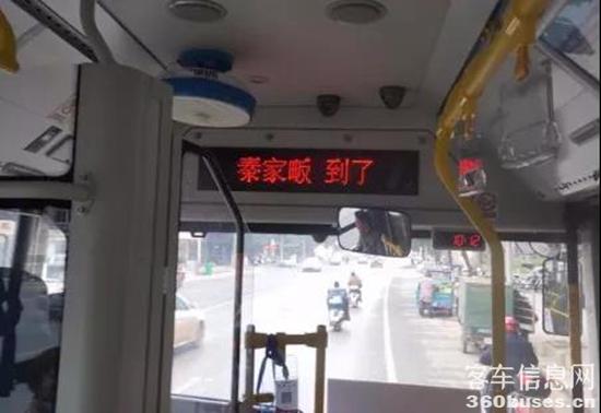 1611538563778197.jpg f7.jpg