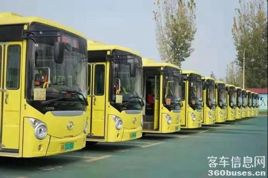 1611539119465075.jpg g7.jpg