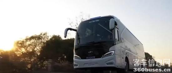 1611880759843952.jpg b2.jpg