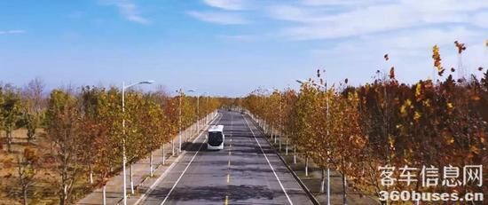 1611880787222927.jpg b3.jpg