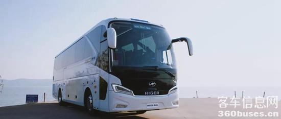 1611880812877659.jpg b4.jpg