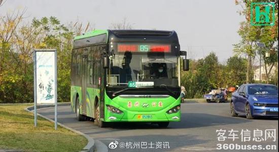 1611881893570391.jpg d6.jpg