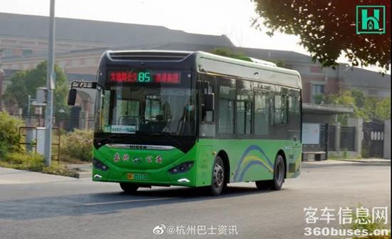 1611881919721624.jpg d7.jpg