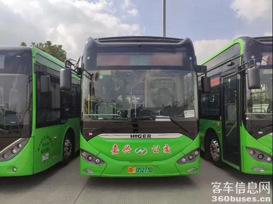 1611882065359850.jpg d12.jpg