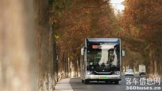 1614302484317231.jpg c5.jpg