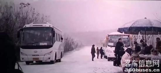 1614560874389128.jpg a5.jpg