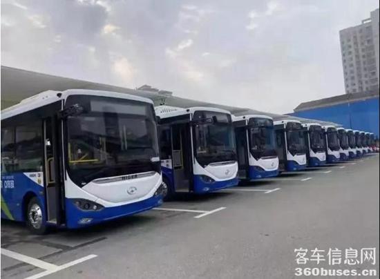 1614561515414045.jpg b5.jpg