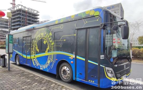 1615454323526727.jpg e1.jpg