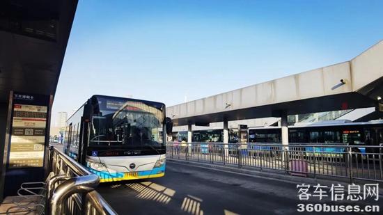 1615512204988078.jpg b1.jpg