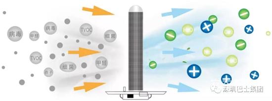 1616032873869423.jpg b7.jpg