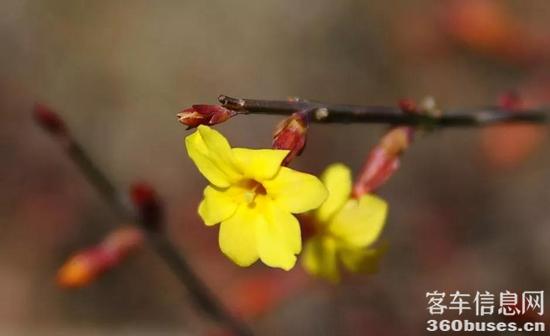 1616554988323612.jpg h1.jpg