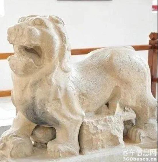 1616555168192360.jpg h8.jpg