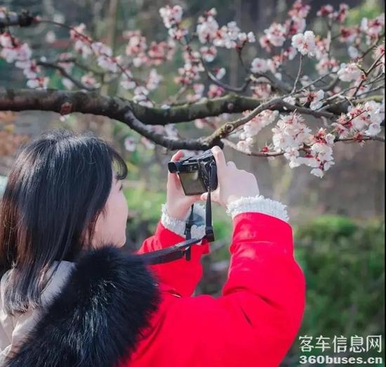 1616555241672274.jpg h9.jpg