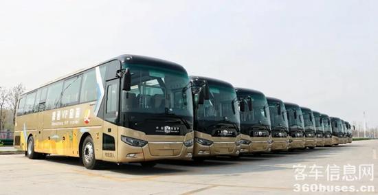 1616986530161969.jpg d5.jpg