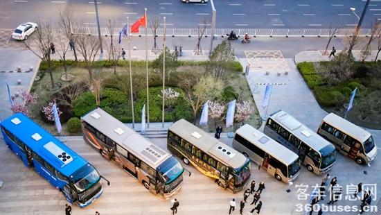 1617242210399630.jpg b17.jpg