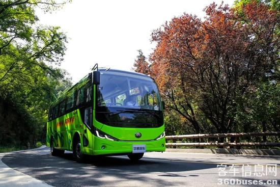 1617243278820354.jpg c10.jpg