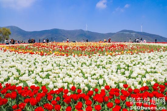 1617672035296908.jpg c2.jpg