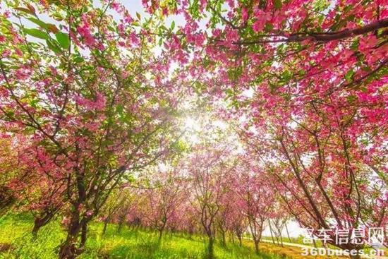 1617672053713399.jpg c3.jpg