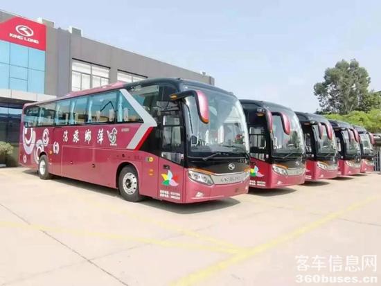 1617762021507449.jpg c8.jpg