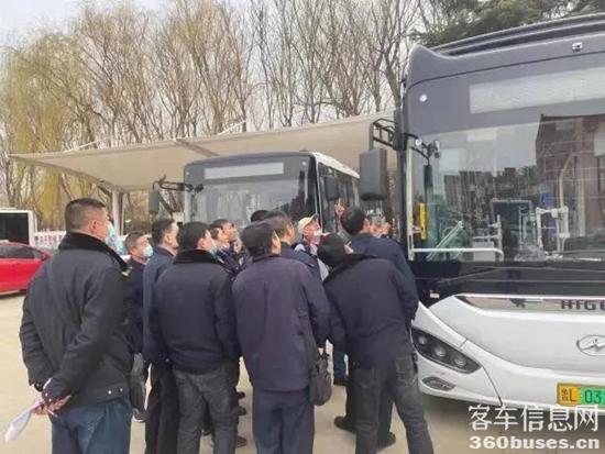 1618363986910885.jpg d5.jpg