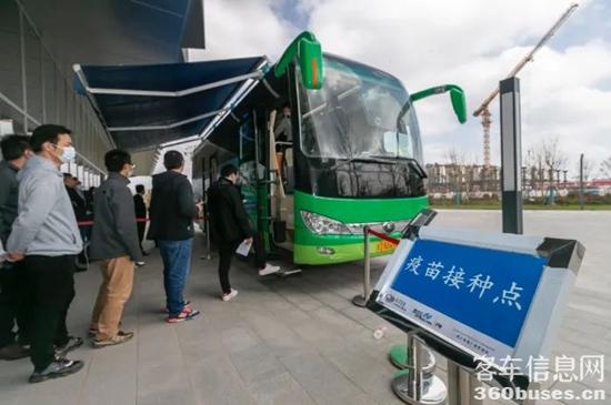 1618536596248002.jpg c10.jpg