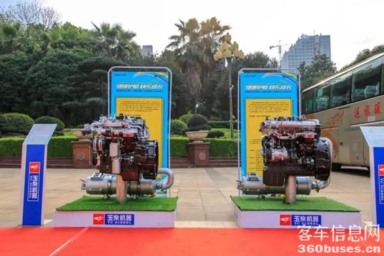 1619659888398617.jpg b8.jpg