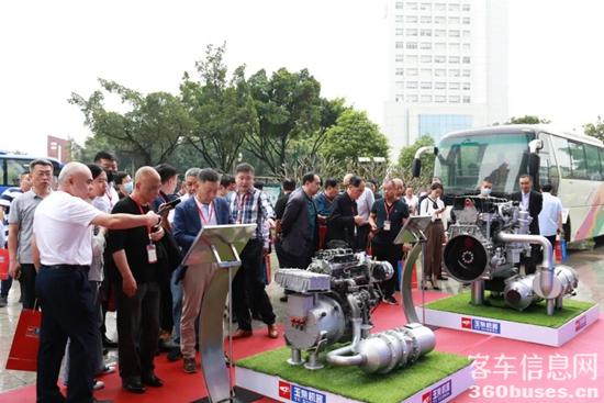 1619661289459953.jpg d9.jpg