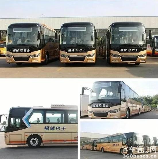 1621131402700885.jpg 1.webp.jpg