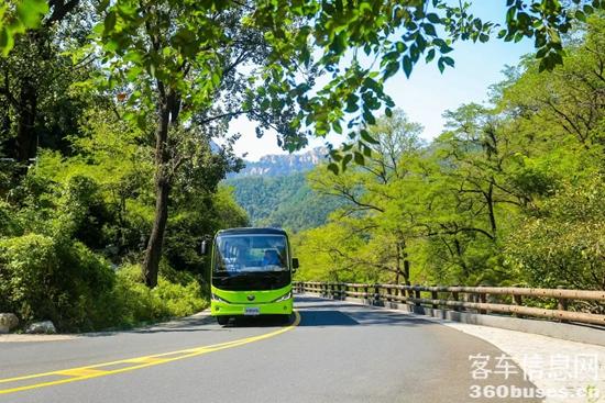 1621919344407774.jpg i4.jpg