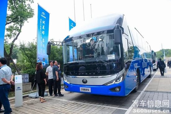 1622432111131950.jpg h16.jpg