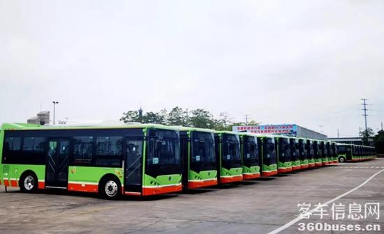 1622441458677925.jpg 2.jpg