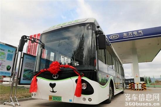 1622687070749756.jpg g3.JPG