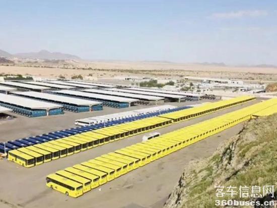 1623322046752485.jpg z5.jpg