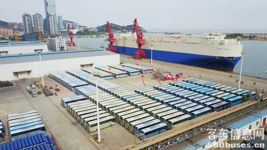 1623322054639119.jpg z6.jpg