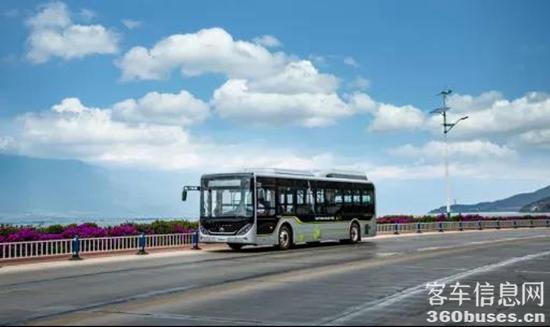 1624413906208553.jpg a1.jpg