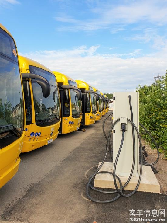 1625101641734447.jpg tfwrat.jpg