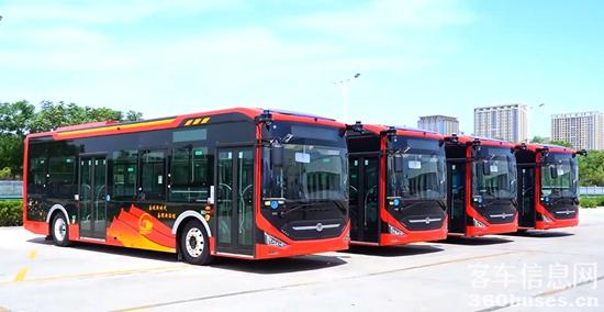 1625187607652454.jpg 1.jpg