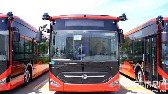 1625187636840319.jpg 3.jpg