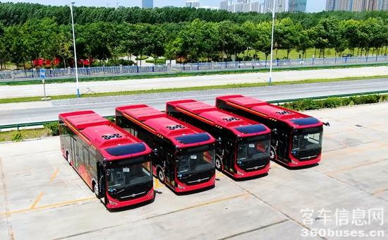 1625187656164997.jpg 5.jpg