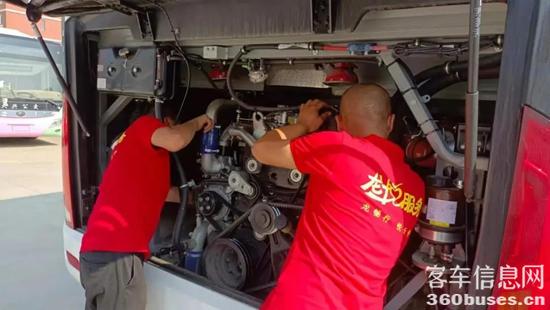 1625229300721698.jpg 7.jpg