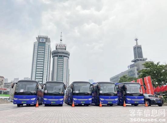 1625461093728545.jpg 4.jpg